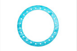 Garlock Manway Gasket