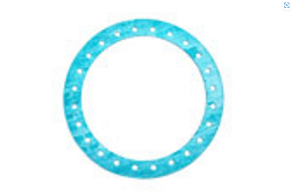 Garlock Manway Gasket