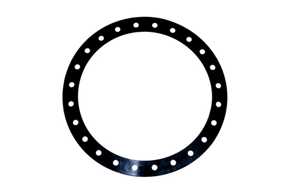 Gasket, Manway, 24 Hole, Viton