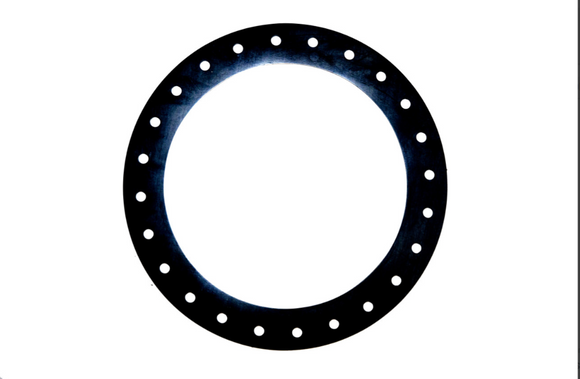 Manway Gasket, 24 Hole, Viton